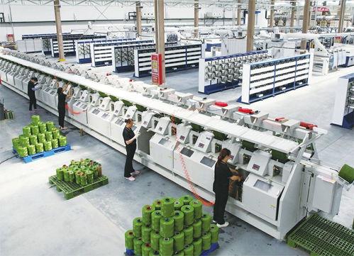 大項目領跑 新動能澎湃——樂陵市重點項目與企業形象建設掠影